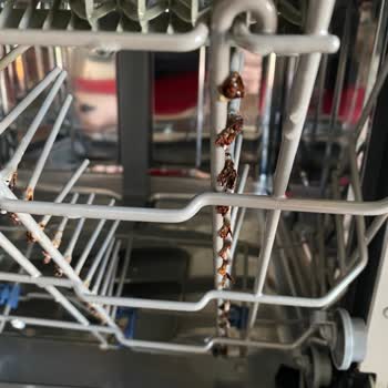 Teka Bulaşım Makinesi Sepet Paslanması