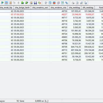 Mikro Yazılım Veri Kayıt Hatası
