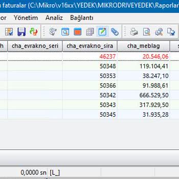 Mikro Yazılım Veri Kayıt Hatası