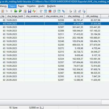 Mikro Yazılım Veri Kayıt Hatası