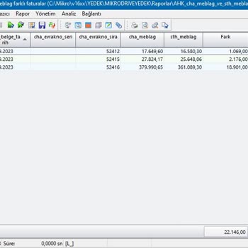 Mikro Yazılım Veri Kayıt Hatası
