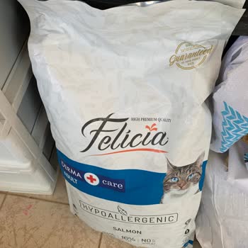 Zoo Pet Shop (Kadıköy) Felicia Mamanın Üretim Ve Son Kullanma Tarihi Yok