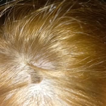 Palette 10.1 Markasının Boyası Saçlarıma Zarar Verdi