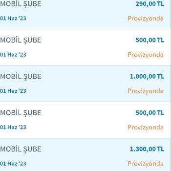 Halkbank Kredi Hesabımdam Para Çekilmiş