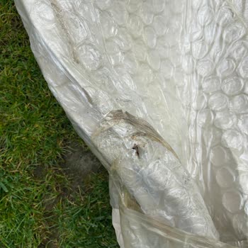 Mandu Ahşap Bahçe Dolabı Ve Koçtaş