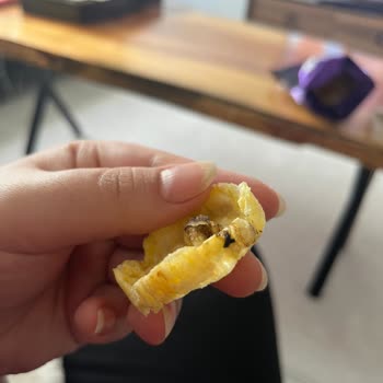 Eti Gıda Eti Gong POP'TA Acayip Cisim