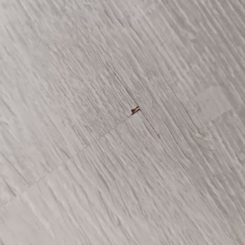 Çamsan Parkeler Kırık Çıktı.