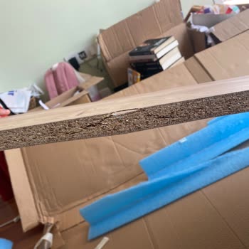 Avokado Konsept Hasarlı Parça Tedariği