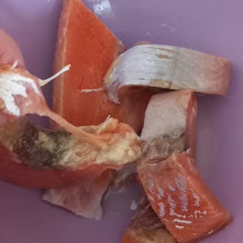 BİM'de Satılan Bozuk Somon Balığı