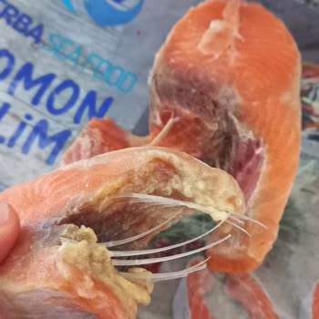 Erba Sea Food BİM'de Satılan Bozuk Somon Balığı