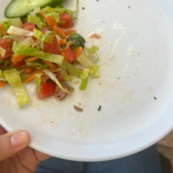 Nezih Kebap Yuvalama Canlı Kurt Ve Böcekler Çıktı