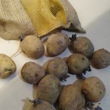 Migros Üzerinde Taze Patates Yazan İçinden Buruşuk Patates Çıkan File Torba