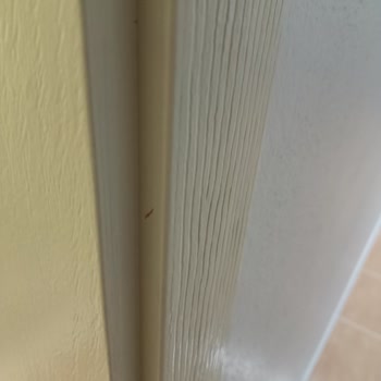 Polisan Boyanın Soyulup Çıkması