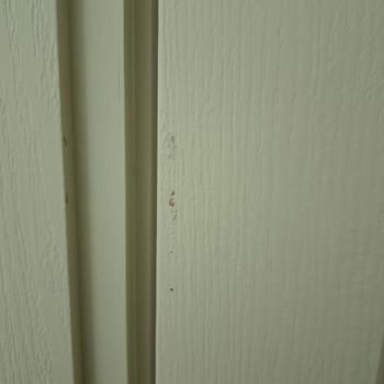 Polisan Boyanın Soyulup Çıkması