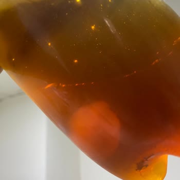 Fuse Tea İçinde Sümüksü Bir Şey Var