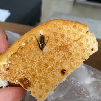 Gaziantep Seyrantepe BİM Ekmekten Böcek Çıktı