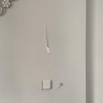 DASK (Doğal Afet Sigortaları Kurumu) 6 Şubat Depremi