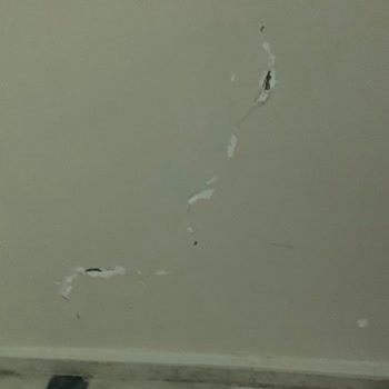 DASK (Doğal Afet Sigortaları Kurumu) 6 Şubat Depremi