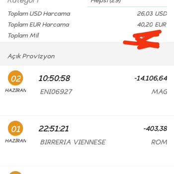 Garanti BBVA Yurt Dışı Harcamalarım, Kredi Kartıma Tl Olarak Yansıyor.