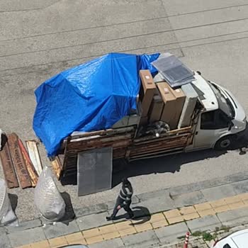 Şok Marketler Sorumsuzluk Hat Safhada