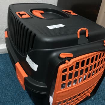 Anadolu Jet Kedi Taşıma Sıkıntısı