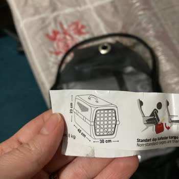 Anadolu Jet Kedi Taşıma Sıkıntısı