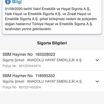 Anadolu Hayat Emeklilik Sigorta Şirketi