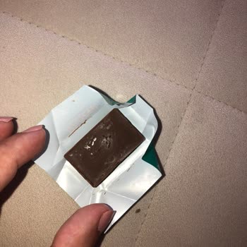 Ülker Çikolata İçinden Çıkan Böcek