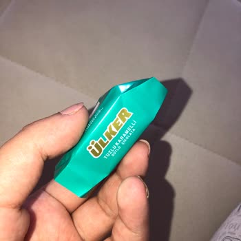 Ülker Çikolata İçinden Çıkan Böcek