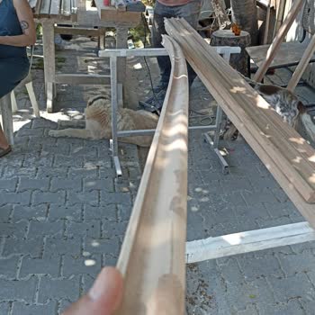 Tüketici Hakem Heyetleri Şen Kereste Fırınlanmış Diyerek Yaş Ağaç Satıyor.