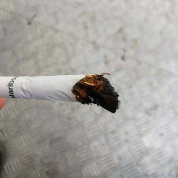 Marlboro Touch Gray Yine Sınıfta Kaldı