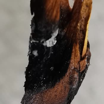 Marlboro Touch Gray Yine Sınıfta Kaldı