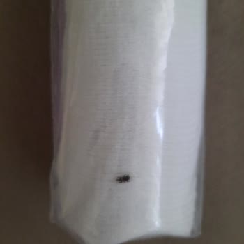 Rossmann Disk Pamuğun İçerisinden Böcek Çıktı