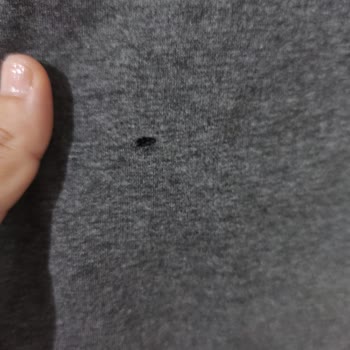 CEO Ceylan Otantik Defolu Ürün Göndermesi