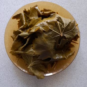 bambaskayaprak.erbaa (Instagram) Üzüm Yaprağının Kalitesiz Oluşu