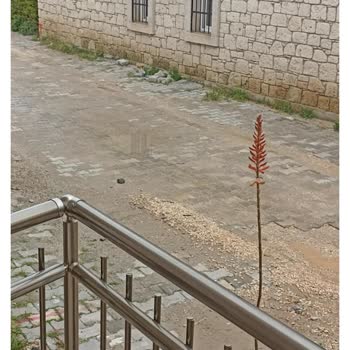 Karayolları Genel Müdürlüğü Yapılan Yolların Yetirince Düzgün Olmaması