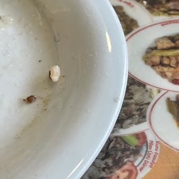 Liman Lokantası Yiyeceklerimiz Hijyenik Değil