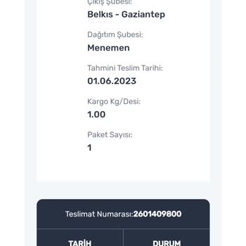 Sürat Kargo Sistemsizliği Kargomu Teslim Edemeyişi