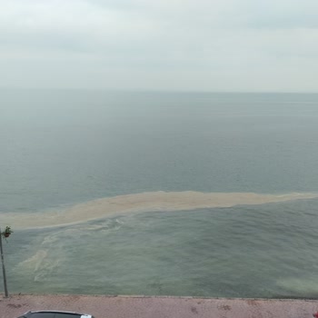 Yalova, Çınarcık Belediyesi Şikayeti