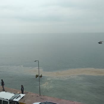 Yalova, Çınarcık Belediyesi Şikayeti