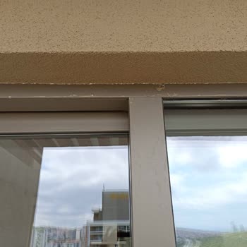 Wingoof Profesyonel Temizlik Temizlik Şirketinin Verilen Paranın Hakkını Vermemesi Ve Çirkin Üslubu