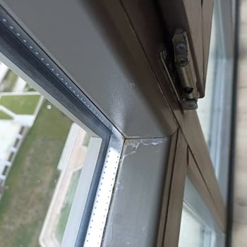 Wingoof Profesyonel Temizlik Temizlik Şirketinin Verilen Paranın Hakkını Vermemesi Ve Çirkin Üslubu