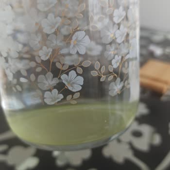 Sırma Damacana Yosunlandı Kimse Bu Konuyla İlgili Yardımcı Olmuyor