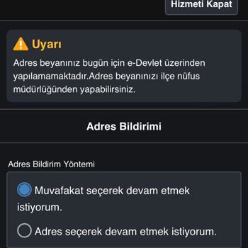 E-Devlet (Turkiye.gov.tr) Adres Değişikliği İşlemi Sorunu