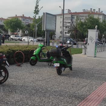 Martı Kırmızı Bölge Dışında Olmama Rağmen Park Etmeme İzin Vermedi