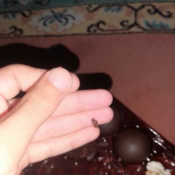 A101 Aldığım Üründen Kil Çıktı