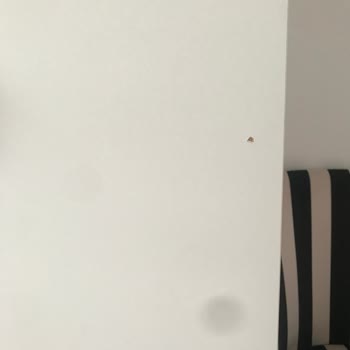 İstikbal Mobilya Hasarlı Mobilya İle Alakalı İlgilenmeme Durumu