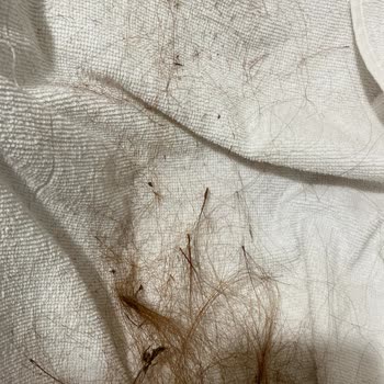 Arzum Saç Kurutma Makinesi