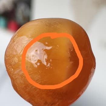 Rocco Lollipop Şekerinden Kıl Çıktı