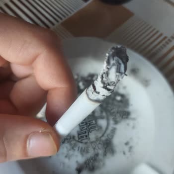 Lark Sigarasında Yabancı Cisim Cıktı